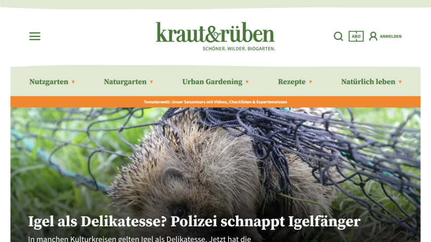 Website kraut&rüben with navigation and headline about hedgehogs as delicacy and police catching hedgehog catchers