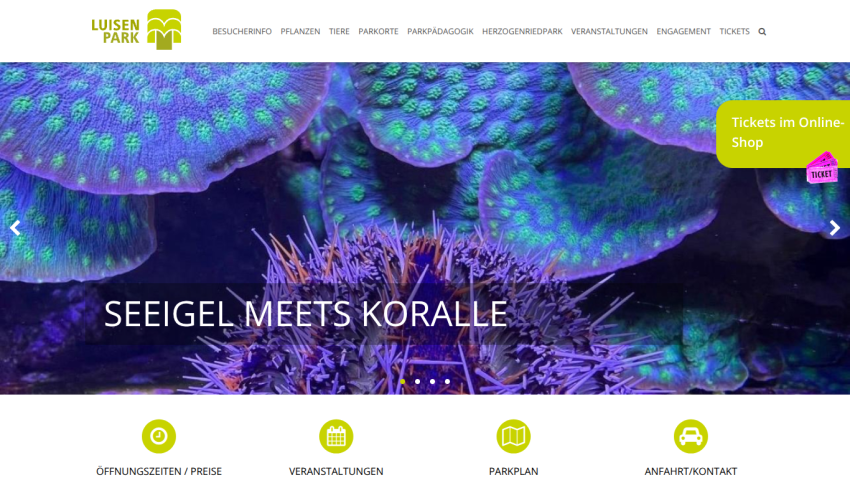 Luisen Park website with navigation menu and hero image featuring sea urchin and coral with text 'SEEIGEL MEETS KORALLE'