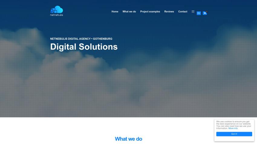 netnebulis.com