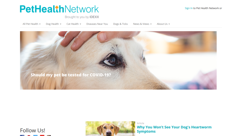 Homepage of Pet Health Network with a dog and a question about COVID-19 testing.