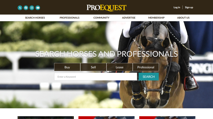 ProEquest homepage with navigation and search bar to buy, sell, lease horses or find professionals