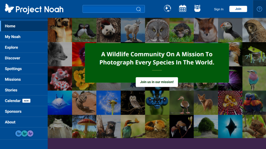 Homepage of Project Noah featuring a wildlife community mission statement and a grid of animal images.