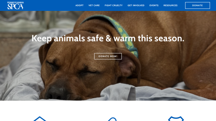 Pennsylvania SPCA homepage with navigation and a call to keep animals safe and warm this season