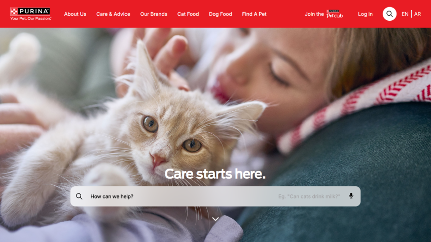 Purina pet care homepage with a cat and a person, featuring a search bar and navigation menu