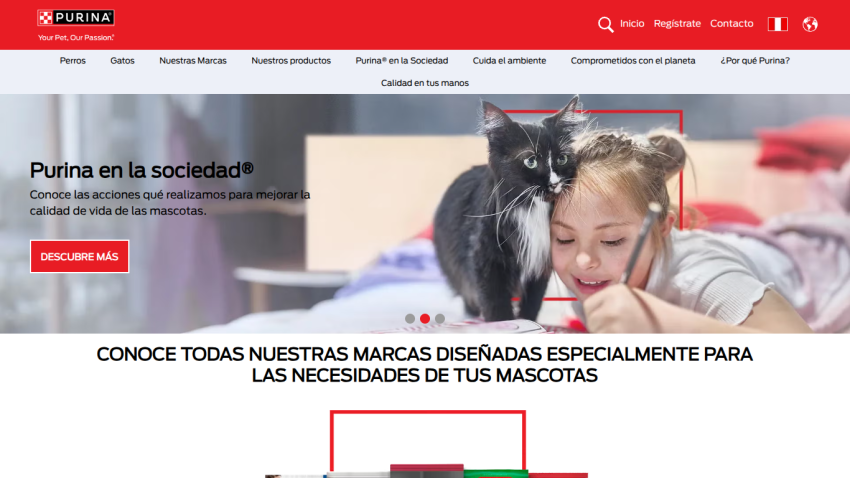 Purina website hero section with a girl and cat, text about Purina's societal actions, and navigation menu in Spanish