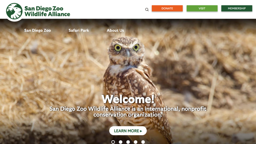 Homepage of San Diego Zoo Wildlife Alliance featuring an owl and welcome message.