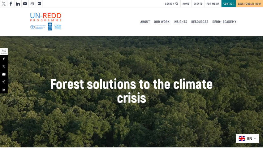 UN-REDD Programme homepage with forest background and headline 'Forest solutions to the climate crisis'
