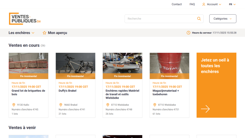 Auction website showing ongoing auctions with items like briquettes, bicycle, boat, and materials, plus navigation and search options.