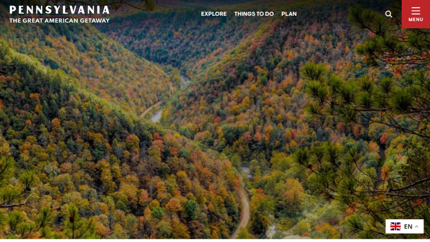 Scenic view of Pennsylvania's autumn landscape with vibrant foliage.