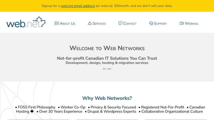 Homepage of Web Networks showing company tagline, navigation menu, and reasons to choose their IT services
