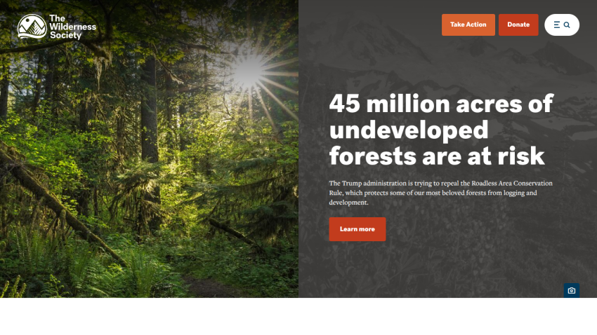 Homepage highlighting the risk to 45 million acres of undeveloped forests.