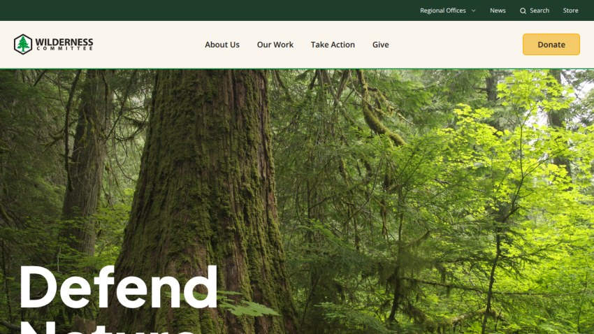 Wilderness Committee website with navigation and a call to defend forests, featuring a large forest background image and a donate button.