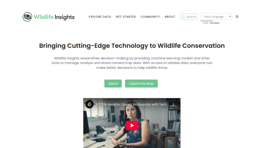 wildlifeinsights.org