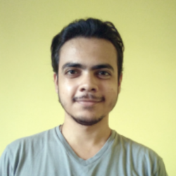 Rohit Ganguly
