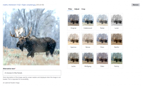 bookish image filter