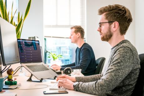 Software developers