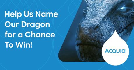 Name the Dragon