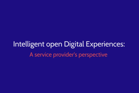 Intelligent Open Digital Experiences
