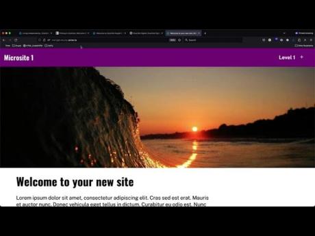 Microsite 1