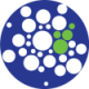 mmlmitchell Profile Image
