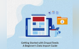 Getting Started with Drupal Feeds: A Beginner's Data Import Guide 