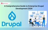A Comprehensive Guide to Enterprise Drupal Development 2024