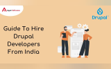 Guide To Hire Drupal Developers From India