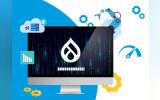 EDF Insider Intranet Revamp by Aten Design Group