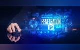 Comprehensive Guide to Penetration Testing for WordPress and Drupal