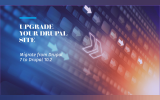 Step-by-Step Guide for Migrating from Drupal 7 to Drupal 10.2