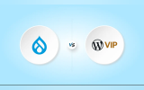 Drupal vs WordPress VIP
