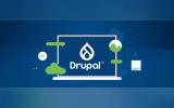 Testing Drupal Automatic Updates: A Simple Core Upgrade Process