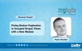 Fixing Broken Pagination in Grouped Drupal Views with a New Module