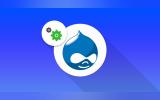 Integrating Sigma Dashboards with Drupal 11 for Secure, Personalized Analytics