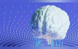 illustration of human brain and neural network