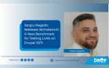 Sergiu Nagailic Releases Nichebench: A New Benchmark for Testing LLMs on Drupal 10/11