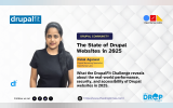 The State of Drupal Websites in 2025