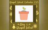 Drupal Advent Calendar Day 6: Dropsolid’s Creative Approach to Talent Building